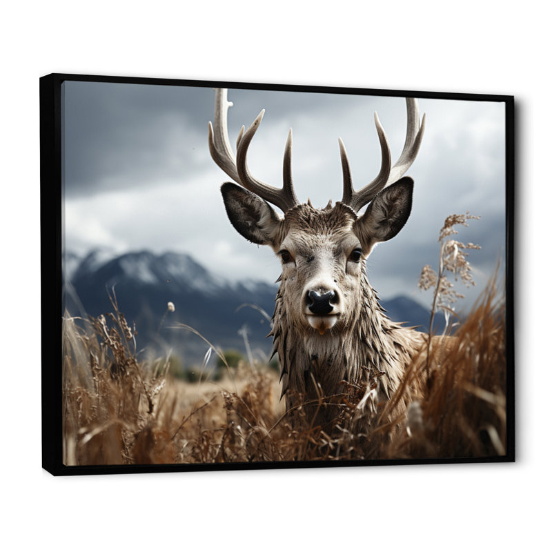 Photographie de cerf monochrome III - animaux, H 34 po x l 44 po x P 1,5 po, Cadre flottant noir