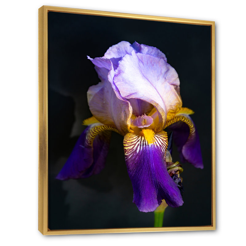 «Tao Iris Series Iris Flower», décoration murale moderne sur toile, H 32 po x l 16 po x P 1 po, Cadre flottant doré
