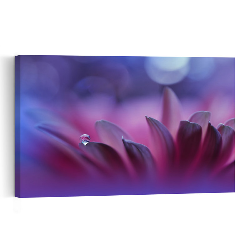 Purple Flower Dewdrop Abstract Delicate Peaceful Violet Flower Nature Wall Art Print 1 Piece Wrapped Canvas Wall Art