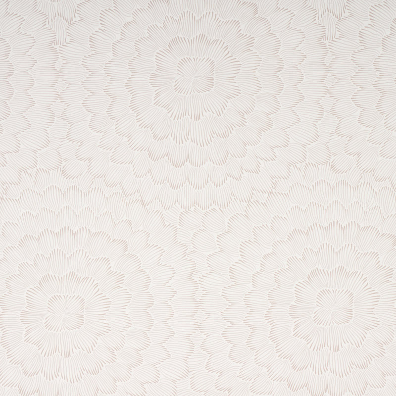 Feather Bloom Wallpaper