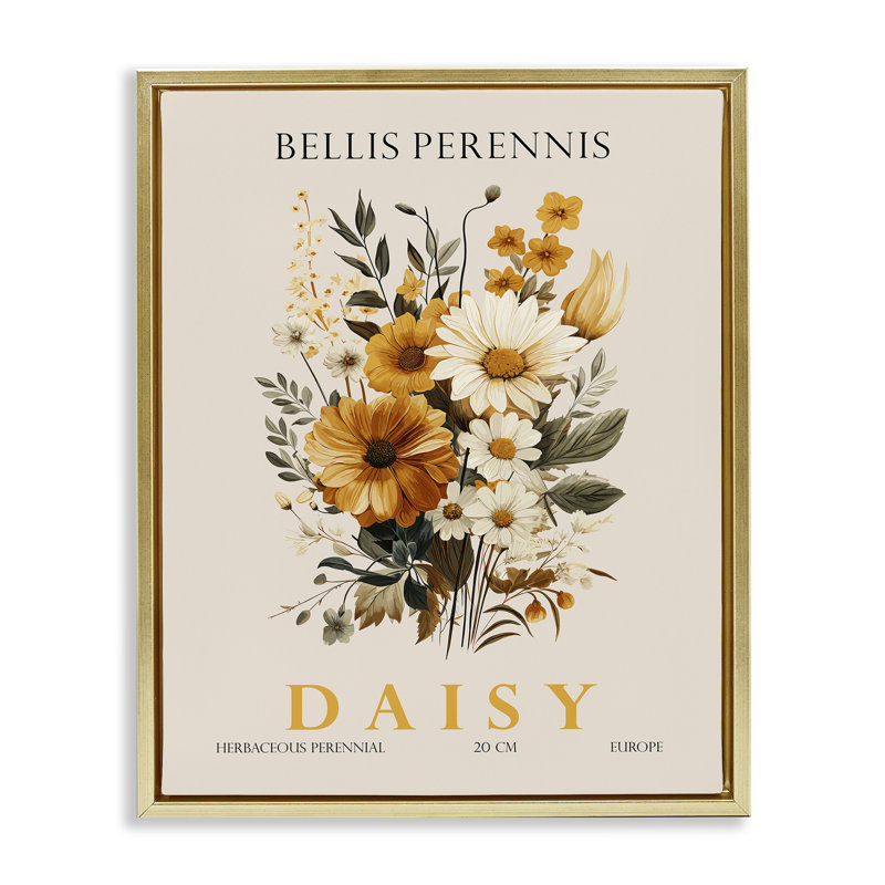 Cadre flottant Nature Daisy, par Christopher Giampietro, Cadre flottant métallique doré, H 31 po x l 25 po