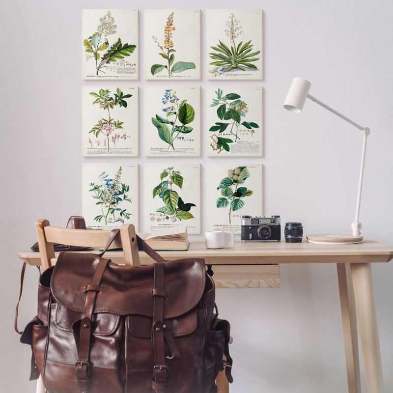 " Vintage Botanical Greenery Illustrations With Scientific Script "
