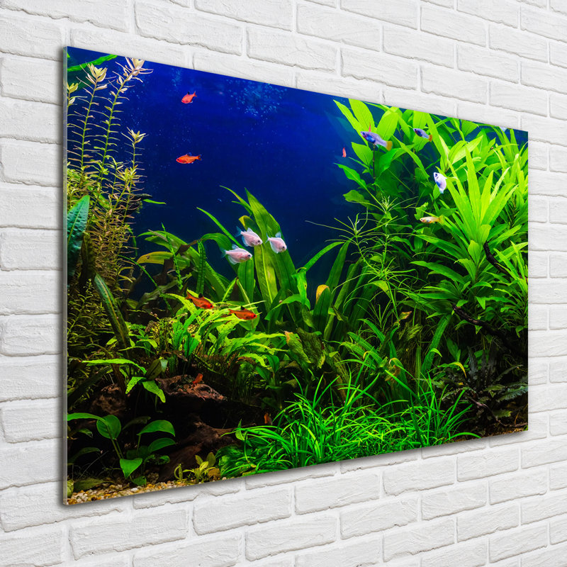 Fish in the Aquarium - Unframed Art Prints on Glass