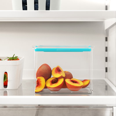 Clyde Food Storage Container