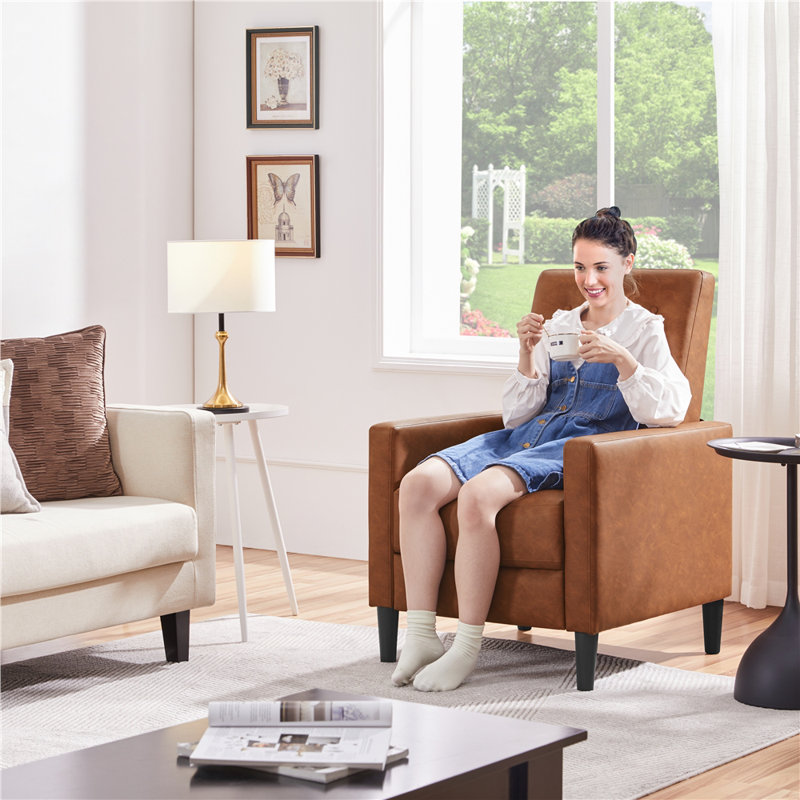 67cm Wide Standard Recliner, Brown