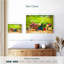 Jardin Senne-107847104