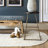 Ikin Indoor Rug-956323414