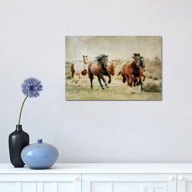Out Of The Desert by Rhonda Thompson - Wrapped Canvas Print