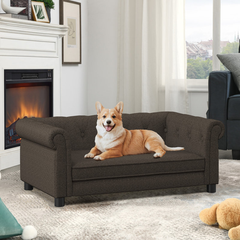 Élégant lit pour animaux de compagnie rectangulaire pour petits et moyens chiens, canapé-lit surélevé durable, canapé pour chien confortable, canapé pour chien en lin moderne et tendance