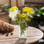 Centre de table Daisy