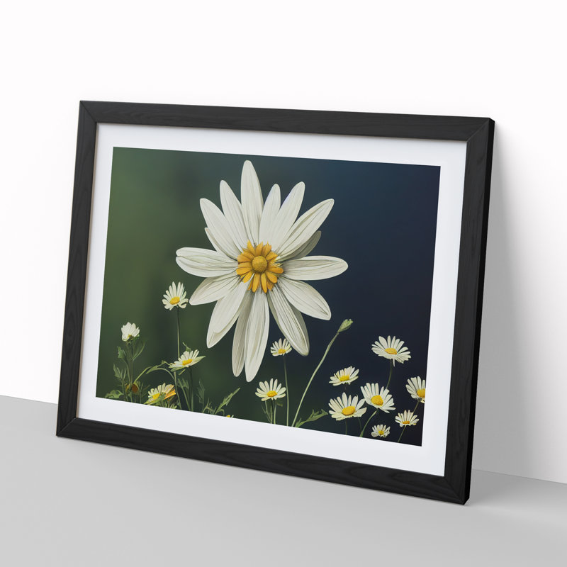 Sparkling Daisy Flowers - Framed Print, Black, 46cm H x 64cm W x 2cm D