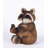Raccoon Sitting