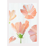 Orange Hibiscus On Snow Print