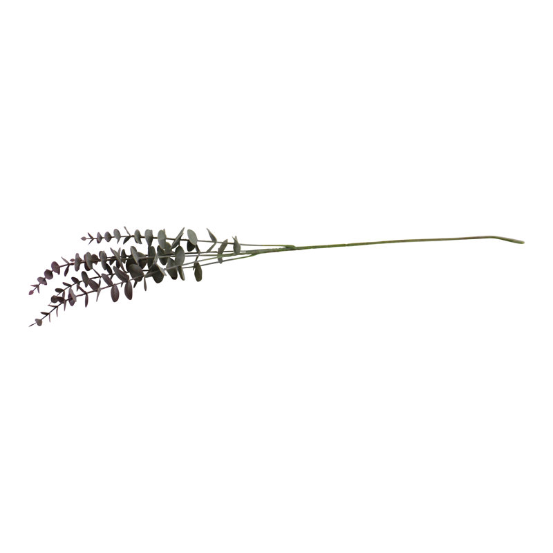 Eucalyptus Spray