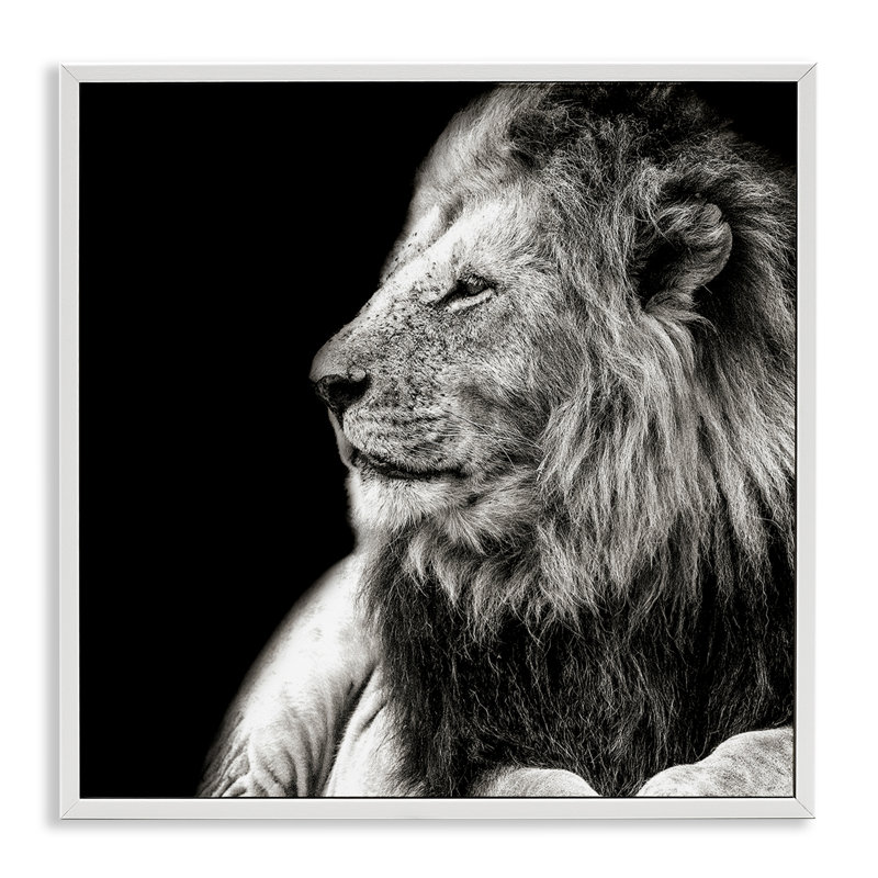 Portrait de lion sur estampe numérique par Shelley Lake, H 12 po x l 12 po, Giclée encadrée blanc bord de mer