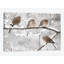 «Mourning Dove Group in Winter», Nouvelle-Écosse, Canada I par Scott Leslie - reproduction de photo-30270248-72569464-72569449