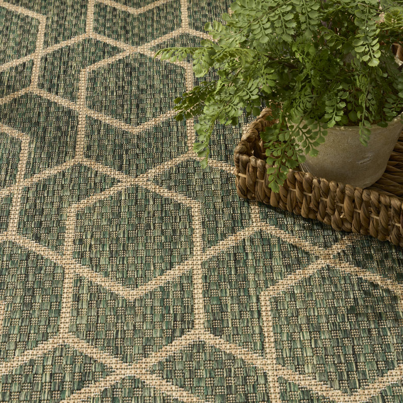 Reidy Modern Indoor/Outdoor Rug, Rectangle 6' x 9', Green