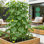 Paquet de 2 treillis de concombre A-Frame, treillis de jardin en métal enduit de PVC pour plantes grimpantes, support en forme de A pliable pour concombres, pois, haricots et tomates