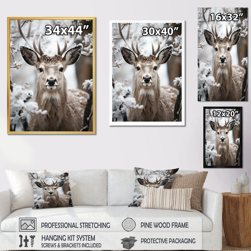 «Baruc Animal Winter Deer», reproduction sur toile encadrée, H 32 po x l 24 po x P 1 po, Cadre flottant noir