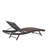 Alejah Outdoor Chaise Lounge Set