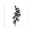 Ossified Petals II Print by Oliver Gal-1900462372-1900462373