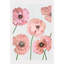 Rose Poppies On Pale Gray Print-1939548092