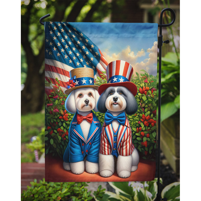 Drapeau All American Garden, Bichon havanais