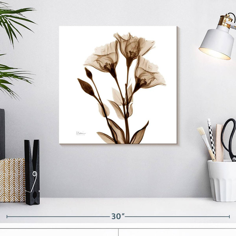 Harnek Gentian In Sienna, 16" H x 16" W