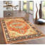 Oriental Area Rug in Rust