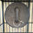 Bamileke Dash Shield