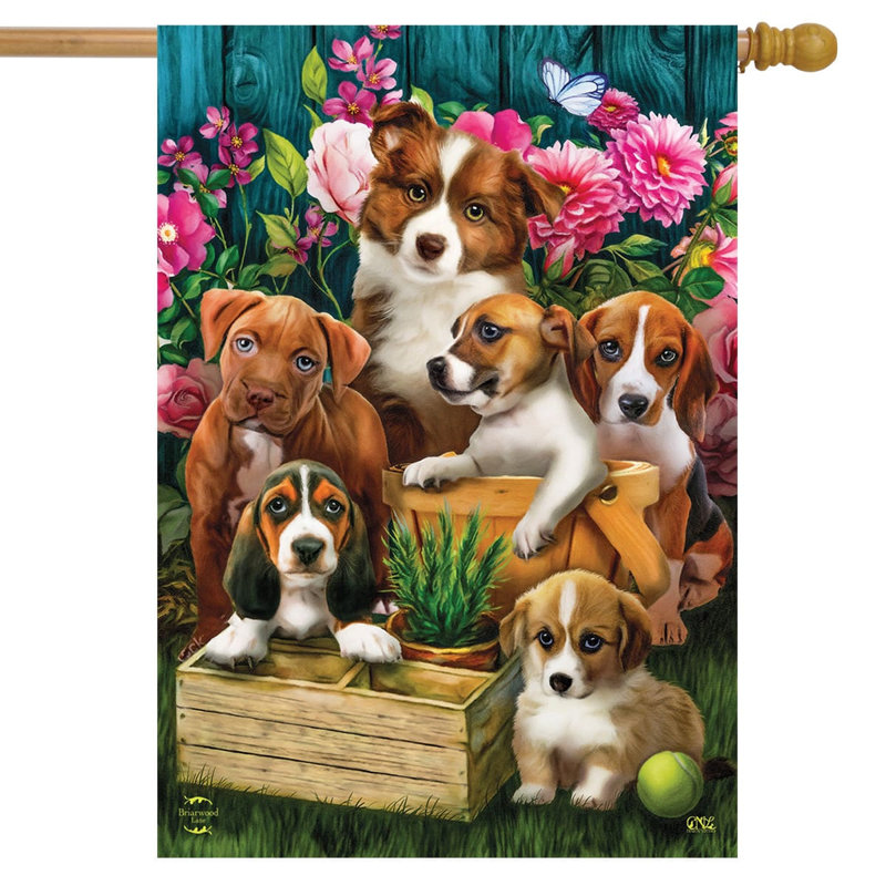 Drapeau «In The Garden Dogs Spring House»