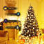 Arbre de Noël pin noir-386593803