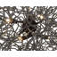 Pershing 6 - Light Geometric Pendant-31814214