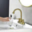 2-handle Bathroom Faucet with Drain Assembly-70980520