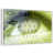 Floating Frame White selected