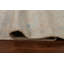 Tapis beige en laine noué à la main de conception unique 8 pi 2 po x 9 pi 10 po New Age