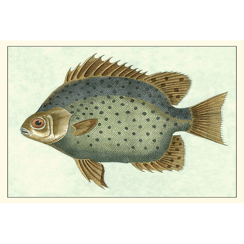 " Butterfly Fish II ", 12" H x 18" W x 1.25" D