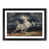 Black Framed is out of stock