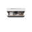 Tempo 31" Two Drawer Freestanding Vanity - Ash Grey-87459735