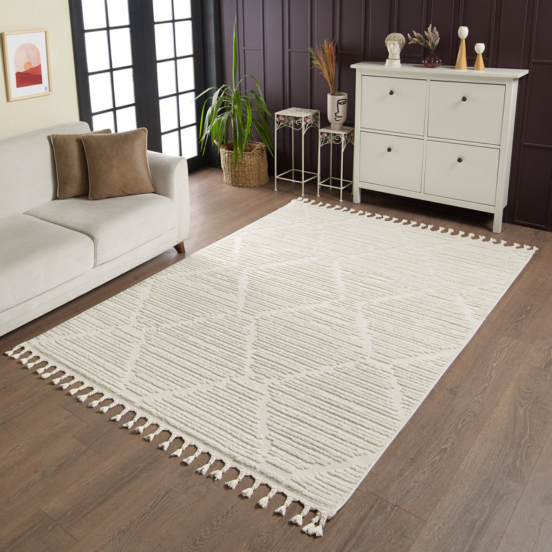 Tapis à poils longs Ruprecht, Rectangle 5 pi 7 po x 7 pi 3 po