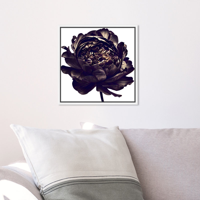 Pivoine noire - Impression sur toile, H 13 po x l 13 po, Cadre blanc