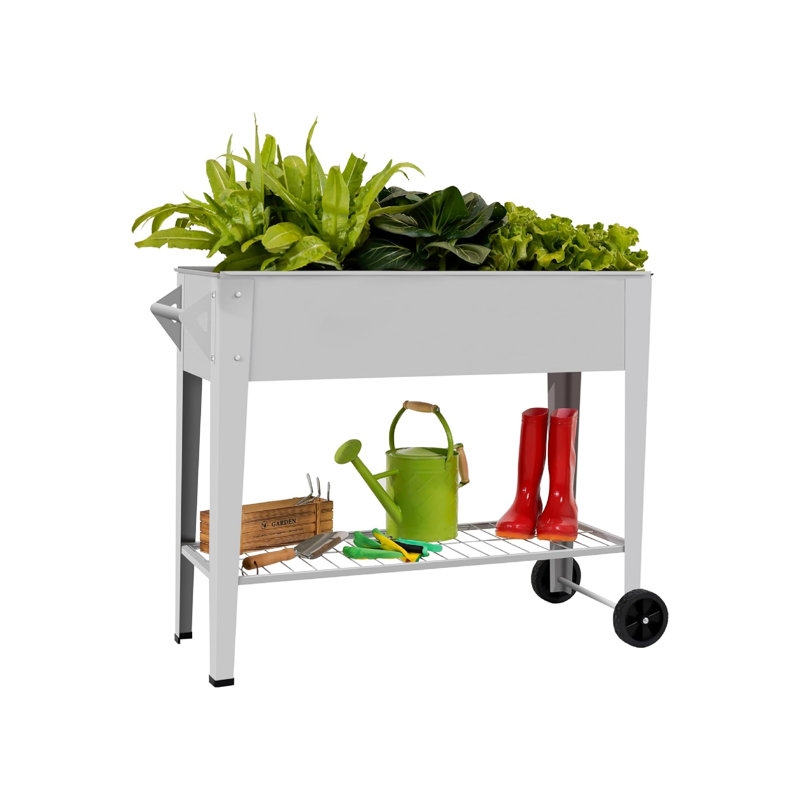 Boîte à fleurs surélevée avec pattes sur roulettes pour jardin à fleurs, Blanc