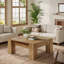 Pedestal Coffee Table with Storage