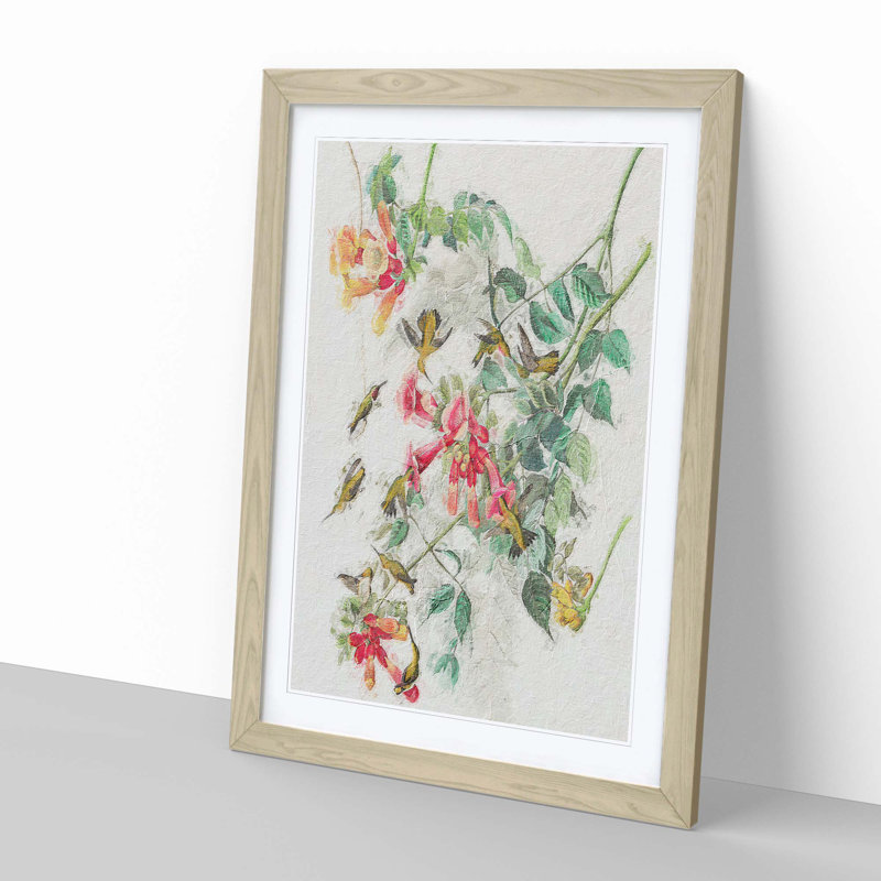 Ruby-Throated Hummingbirds by John James Audubon - Picture Frame Painting Print, 60cm H x 40cm W x 2cm D, Oak