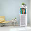 Aahana Plastic / Acrylic Bathroom Cabinet-407963440