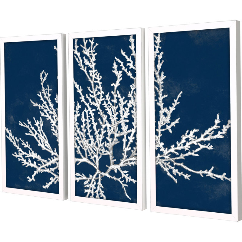 Coastal Coral S/3