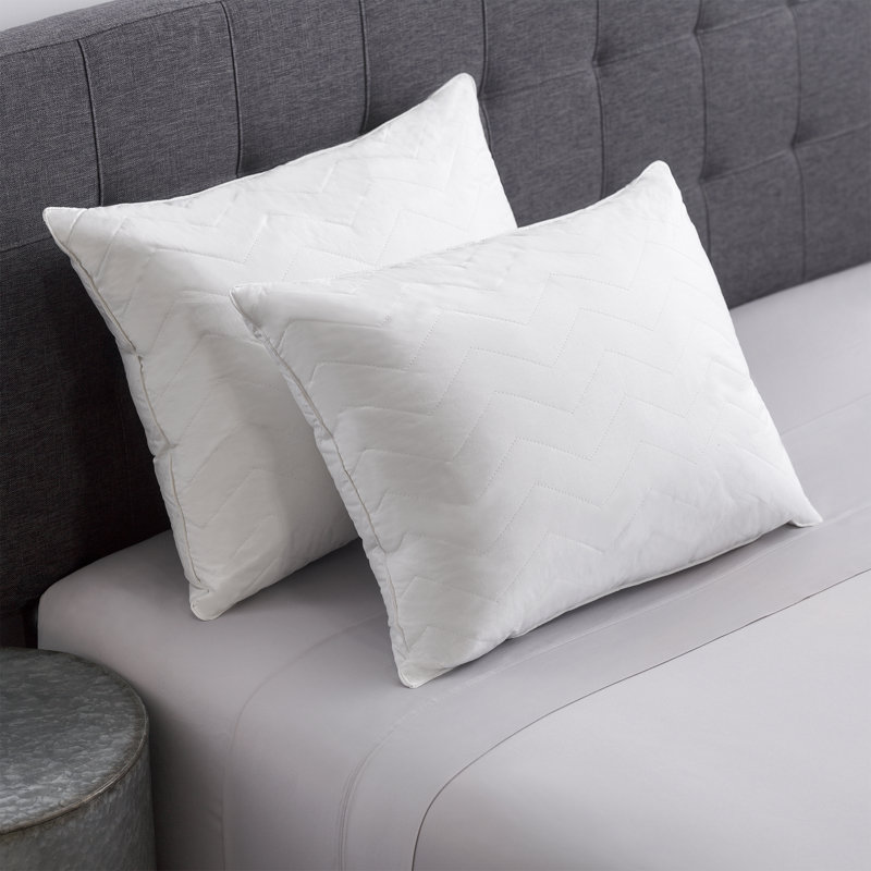 Coussin de support moyen en duvet ODonnell Williamson, Standard