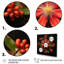 Amazonie vigne fleur rouge - impression-1582112943-1582112942