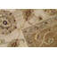 Wool Oriental Area Rug in Camel/Beige