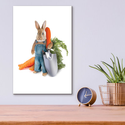  'Peter Rabbit' by John Hovenstine Acrylic Glass Wall Art, 12" x 16"
